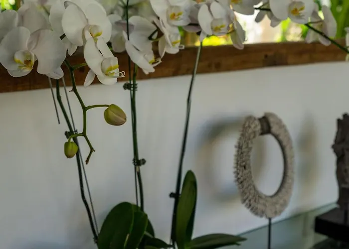 Aniri - - Walk To & Cafes Villa *